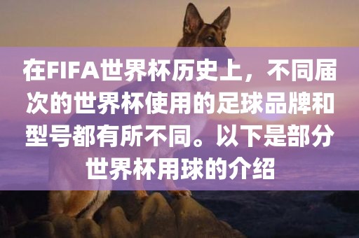 在FIFA世界杯历史上，不同届次的世界杯使用的足球品牌和型号都有所不同。以下是部分世界杯用球的介绍