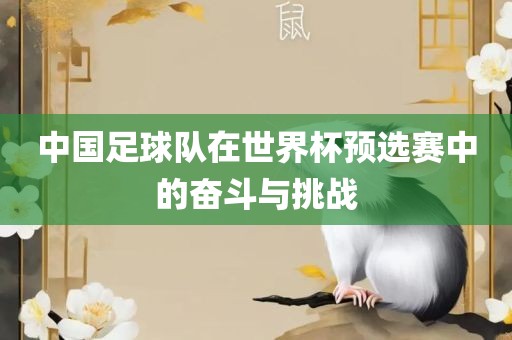 中国足球队在世界杯预选赛中的奋斗与挑战