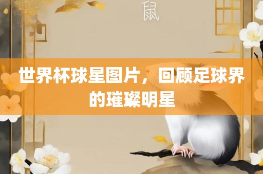 世界杯球星图片，回顾足球界的璀璨明星