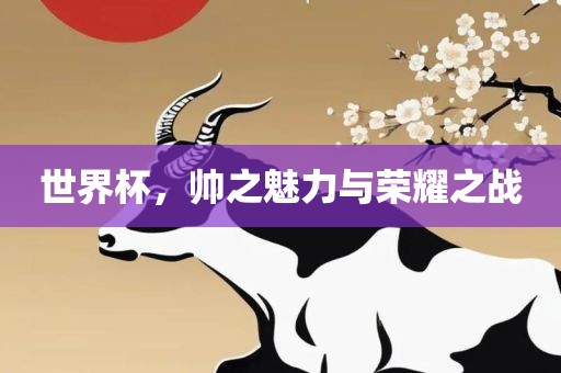 世界杯，帅之魅力与荣耀之战