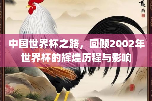 中国世界杯之路，回顾2002年世界杯的辉煌历程与影响