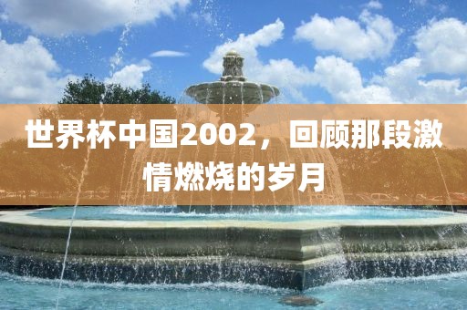 世界杯中国2002，回顾那段激情燃烧的岁月