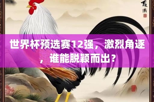 世界杯预选赛12强，激烈角逐，谁能脱颖而出？