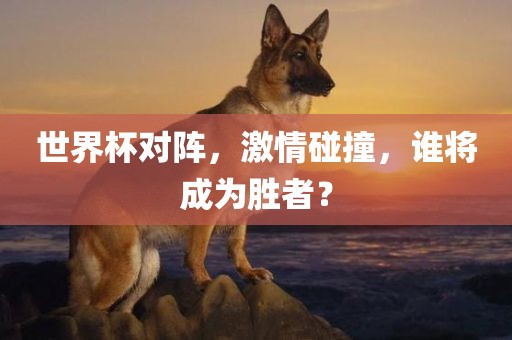 世界杯对阵，激情碰撞，谁将成为胜者？
