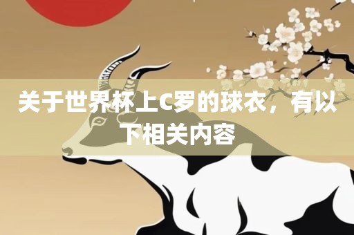 关于世界杯上C罗的球衣，有以下相关内容