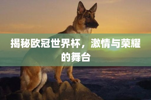 揭秘欧冠世界杯，激情吉安市靖泰电力工程有限公司与荣耀的舞台