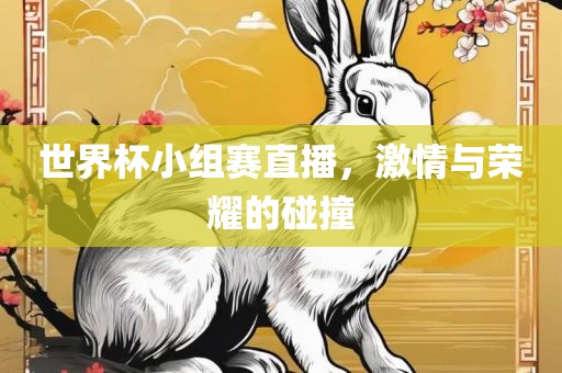 世界杯小组赛直播，激情与荣耀的碰撞