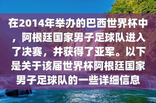 在2014年举办的巴西世界杯中，阿根廷国家男子足球队进入了决赛，并获得了亚军。以下是关于该届世界杯阿根廷国家男子足球队的一些详细信息