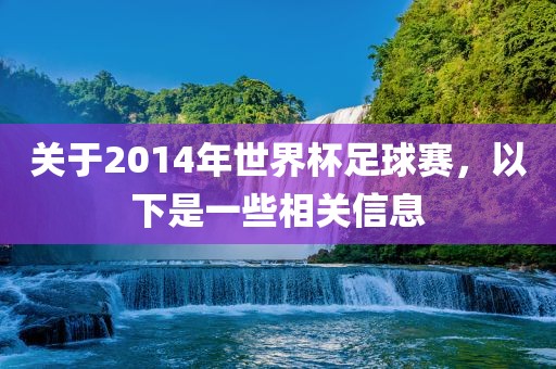 关于2014年世界杯足球赛，以下是一些相关信息