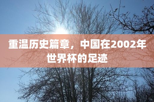 重温历史篇章，中国在2002年世界杯的足迹