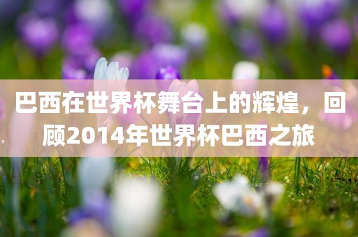 巴西在世界杯舞台上的辉煌，回顾2014年世界杯巴西之旅