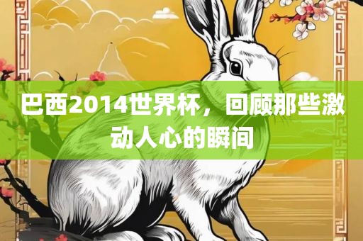巴西2014世界杯，回顾那些激动人心的瞬间