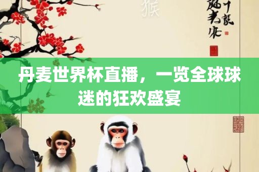 丹麦世界杯直播，一览全球球迷的狂欢盛宴