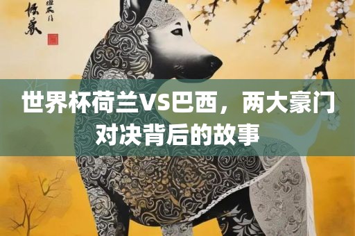 世界杯荷兰VS巴西，两大豪门对决背后的故事
