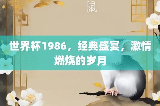 世界杯1986，经典盛宴，激情燃烧的岁月