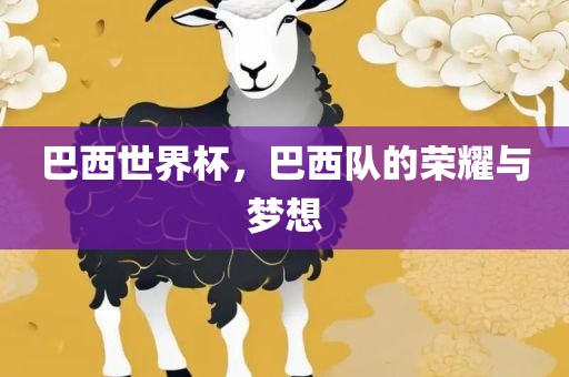 巴西世界杯，巴西队的荣耀与梦想