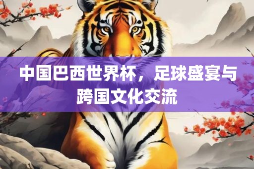 中国巴西世界杯，足球盛宴与跨国文化交流
