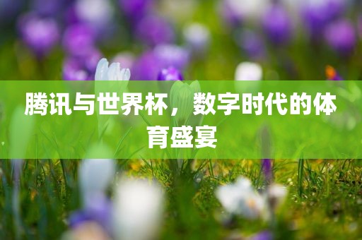 腾讯与世界杯，数字时代的体育盛宴