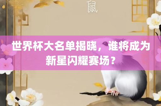 世界杯大名单揭晓，谁将成为新星闪耀赛场？