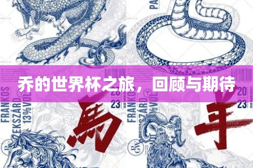 乔的世界杯之旅，回顾与期待
