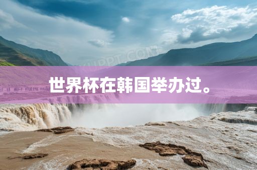 世界杯在韩国举办过。