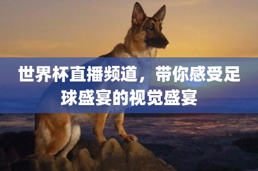 世界杯直播频道，带你感受足球盛宴的视觉盛宴