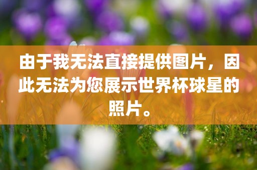 由于我无法直接提供图片，因此无法为您展示世界杯球星的照片。