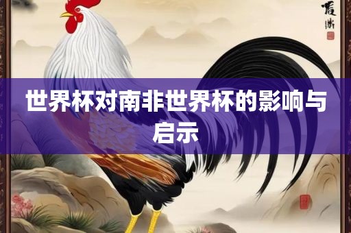 世界杯对南非世界杯的影响与启示