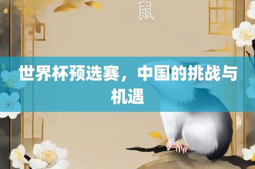 世界杯预选赛，中国的挑战与机遇