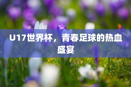 U17世界杯，青春足球的热血盛宴