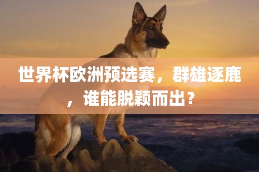 世界杯欧洲预选赛，群雄逐鹿，谁能脱颖而出？