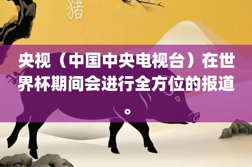 央视（中国中央电视台）在世界杯期间会进行全方位的报道。