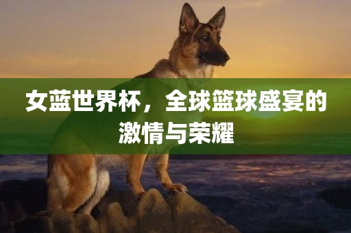 女蓝世界杯，全球篮球盛宴的激情与荣耀