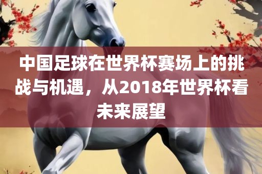 中国足球在世界杯赛场上的挑战与机遇，从2018年世界杯看未来展望