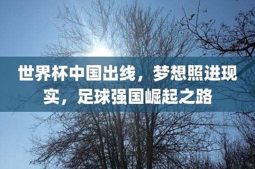 世界杯中国出线，梦想照进现实，足球强国崛起之路