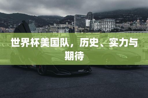 世界杯美国队，历史、实力与期待