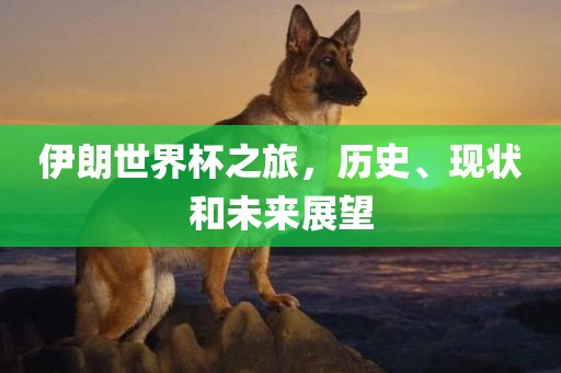 伊朗世界杯之旅，历史、现状和未来展望