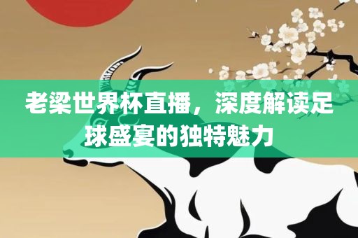 老梁世界杯直播，深度解读足球盛宴的独特魅力
