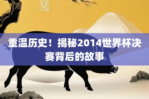重温历史！揭秘2014世界杯决赛背后的故事