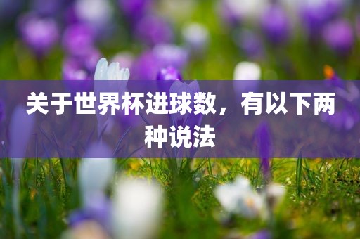 关于世界杯进球数，有以下两种说法