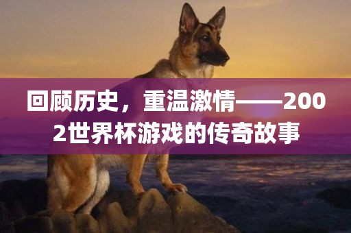 回顾历史，重温激情——2002世界杯游戏的传奇故事
