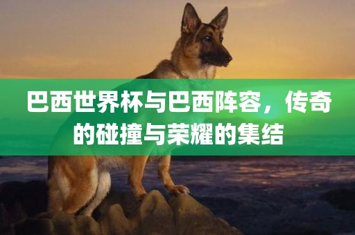 巴西世界杯与巴西阵容，传奇的碰撞与荣耀的集结