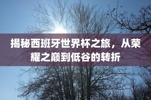 揭秘西班牙世界杯之旅，从荣耀之巅到低谷的转折