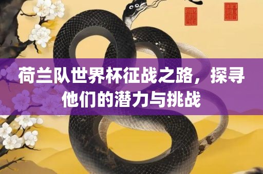 荷兰队世界杯征战之路，探寻他们的潜力与挑战
