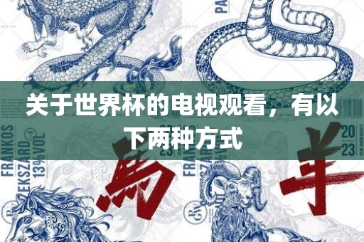 关于世界杯的电视观看，有以下两种方式