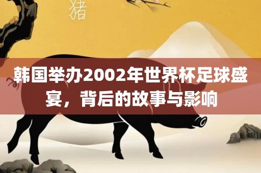 韩国举办2002年世界杯足球盛宴，背后的故事与影响
