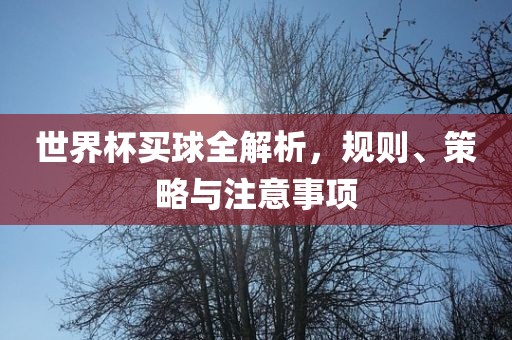 世界杯买球全解析，规则、策略与注意事项