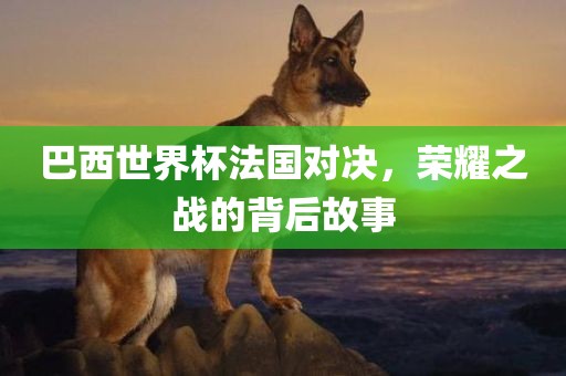 巴西世界杯法国对决，荣耀之战的背后故事