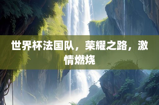 世界杯法国队，荣耀之路，激情燃烧
