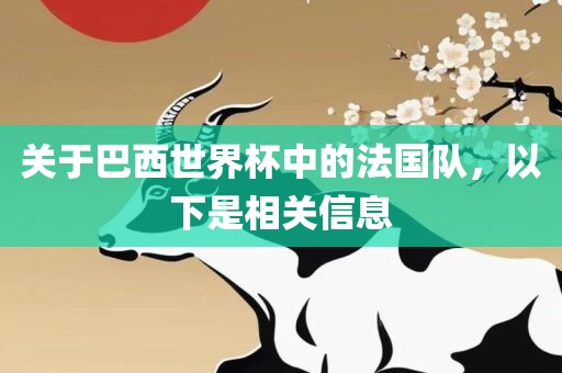 关于巴西世界杯中的法国队，以下是相关信息